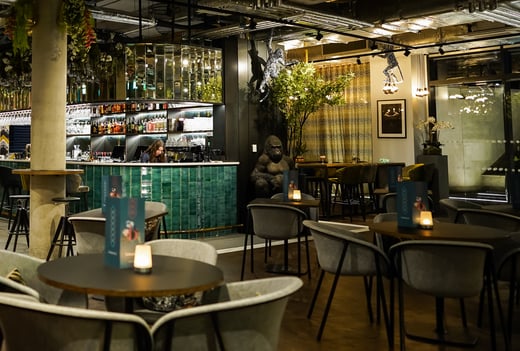 Botanical Restaurant in the Dublin One Hotel (3)